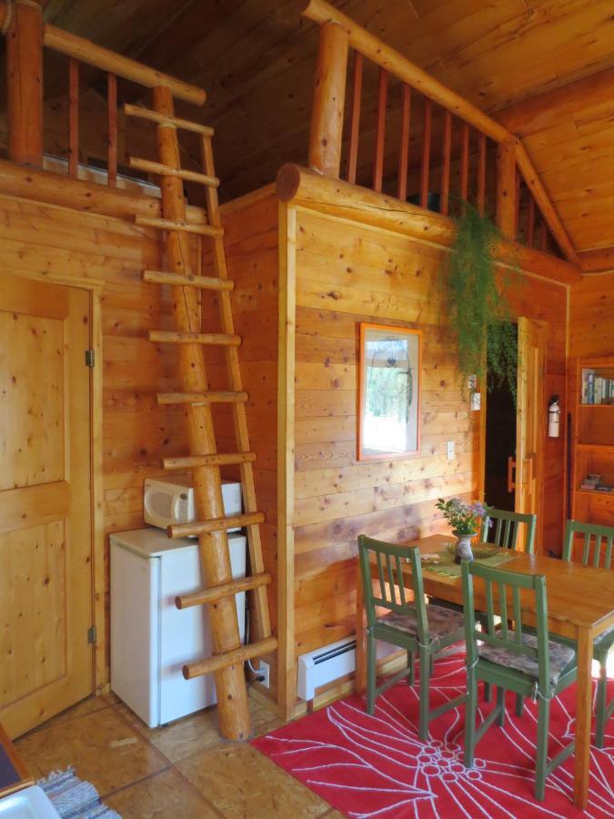 Blaeberry Mountain Lodge Golden Kamer foto